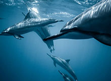 开云体育下载-北控终斩首胜 李根被夺权禁赛用人危机还在继续